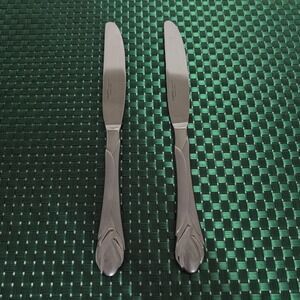 Hampton Silversmiths LILY FROSTED Dinner Knives Set of 2 Stainless China